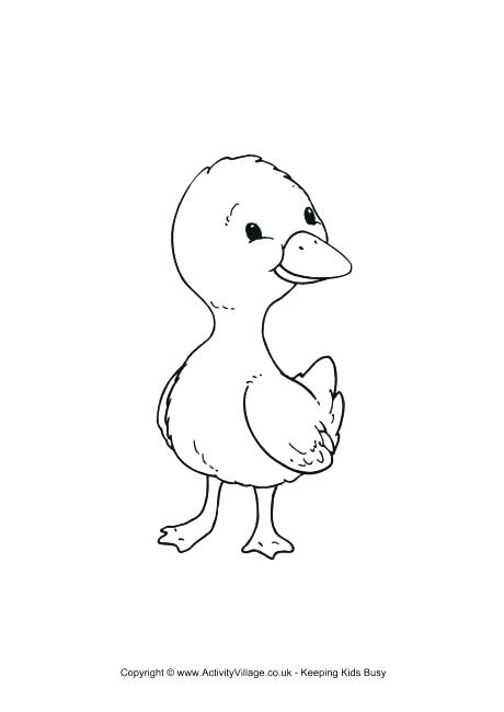 460x650 Duckling Coloring Pages Synthesis.site