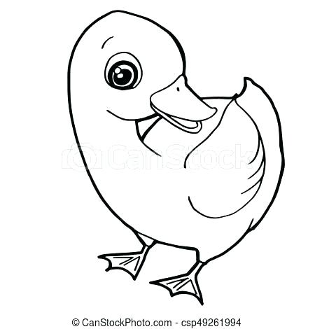 450x470 Coloring Pages Of Ducks As Swimming Duck Coloring Page Free