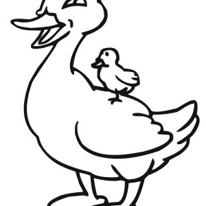 300x300 Copy Coloring Pages Baby Ducks Similarpages.co