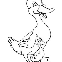 216x216 Duck Netart