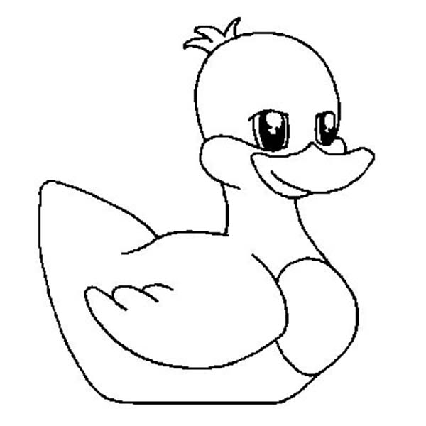 600x600 Duck Drawings For Kids