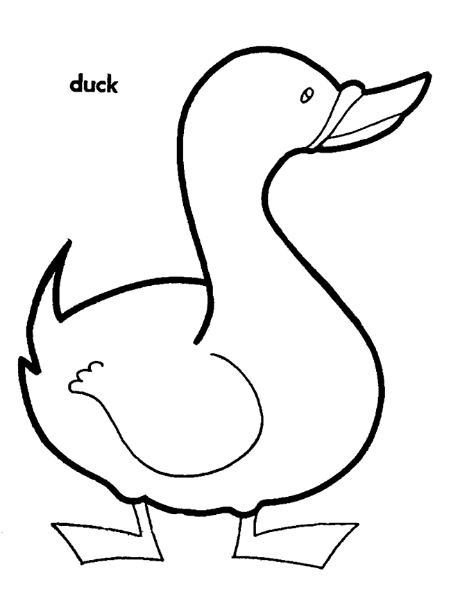 650x859 Picture Of A Duck To Color 379032