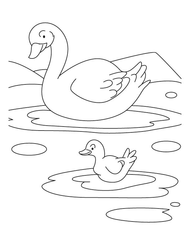 612x792 Baby Duck Coloring Pages Duck With Duckling Coloring Pages Baby