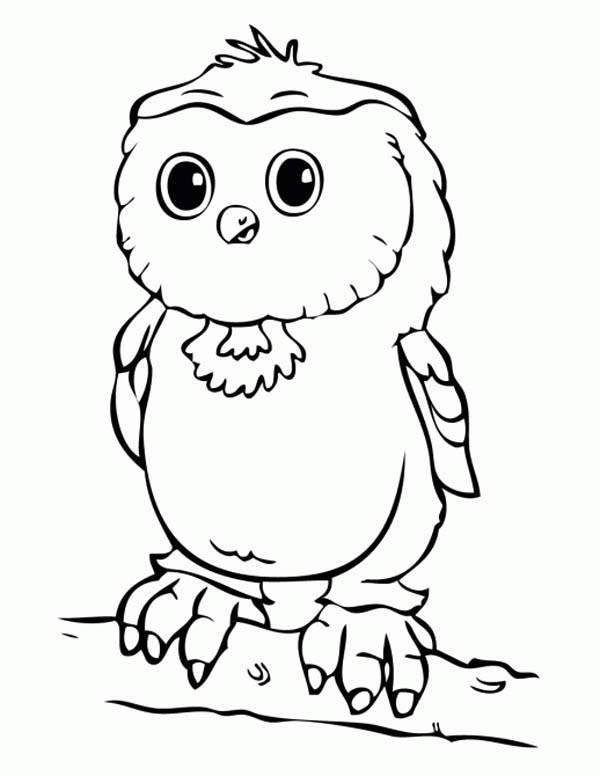 600x776 Baby Owl Coloring Pages
