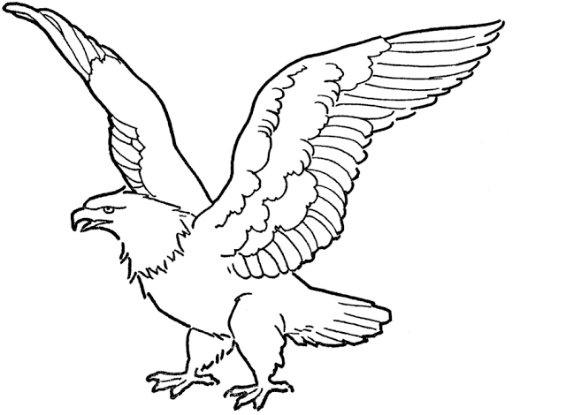 640x470 Colour Drawing Free Wallpaper Eagle Coloring Drawing Free Wallpaper