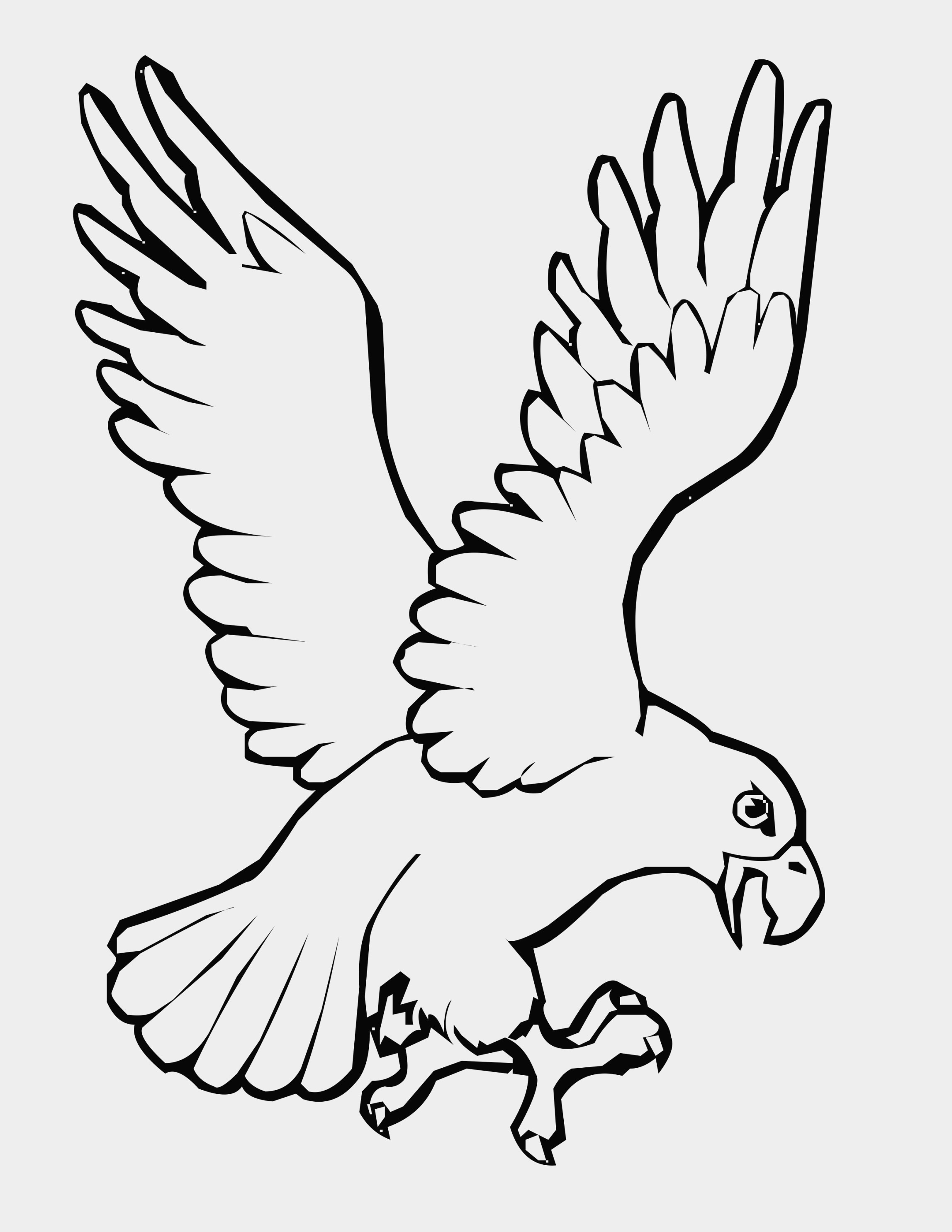 2295x2970 Inspirational Bird Wings Coloring Pages