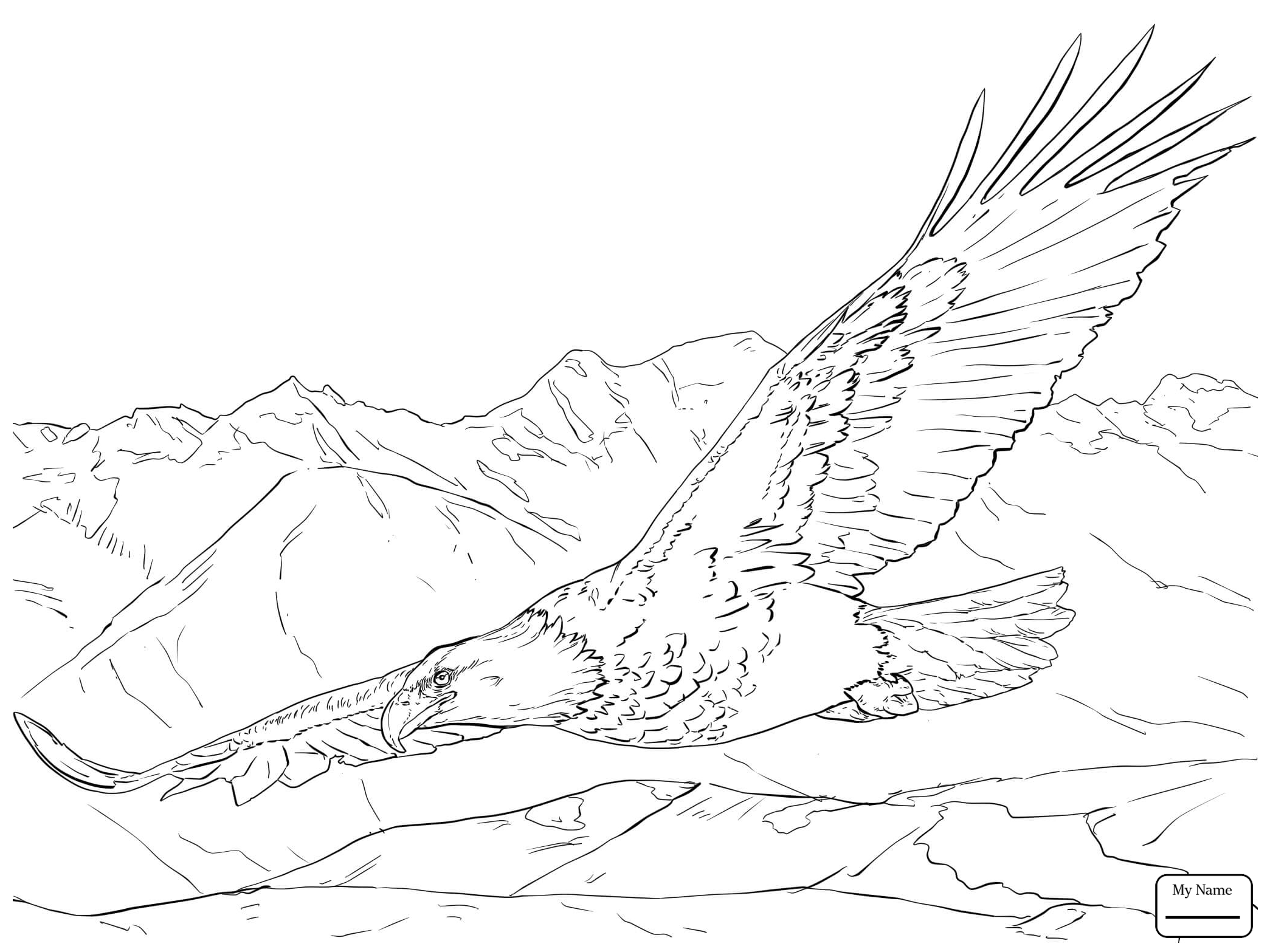 2089x1567 Birds Eagle Eagle Catch A Fish For Its Baby Eagle Coloring Pages