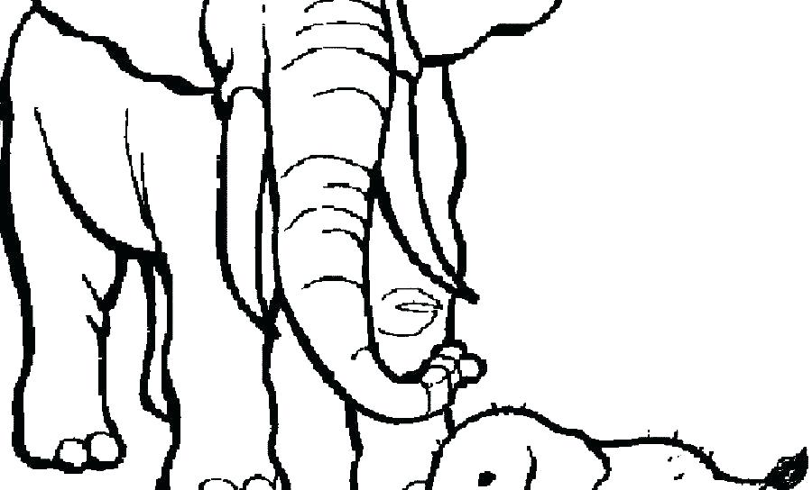 900x544 Cartoon Elephant Coloring Pages