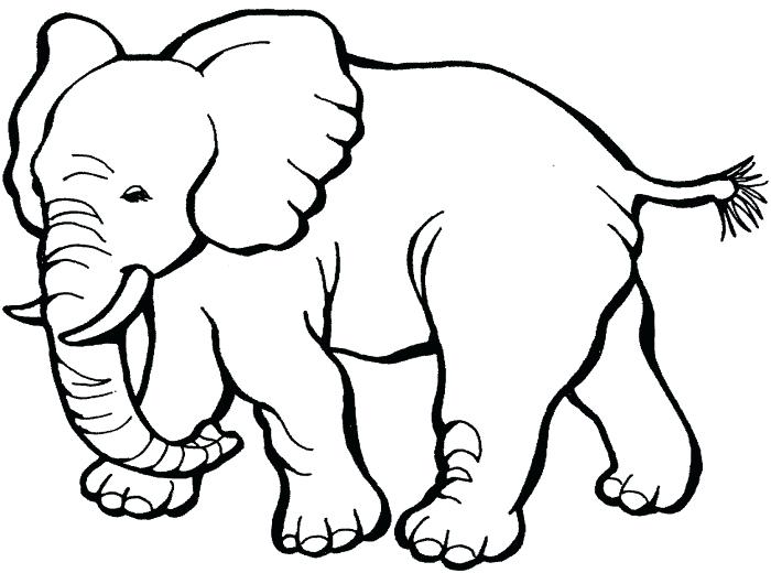 700x520 Coloring Pages Elephant Cute Baby Elephant Coloring Page Elephant