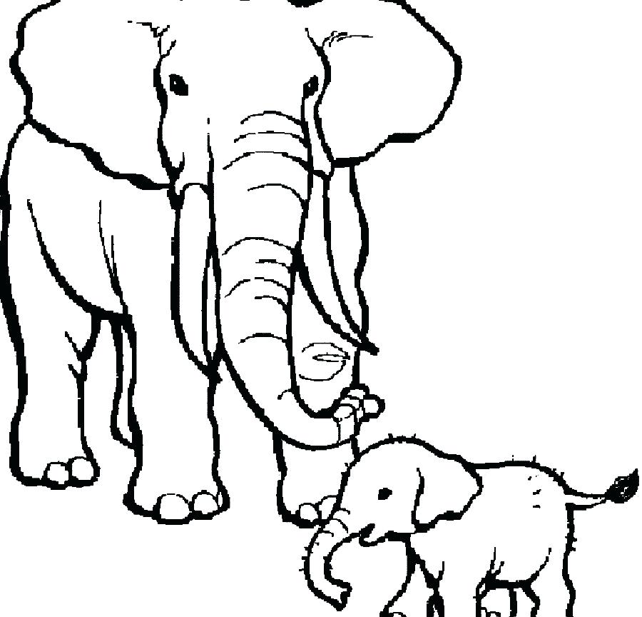 900x864 Elephant Coloring Book Together With Drawing Elephant For Coloring