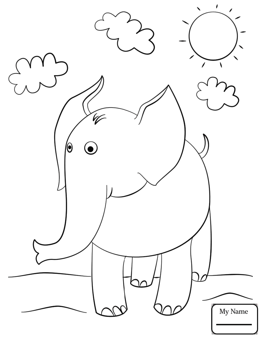 904x1169 Coloring Pages For Kids Baby Elephant In A Circus Mammals