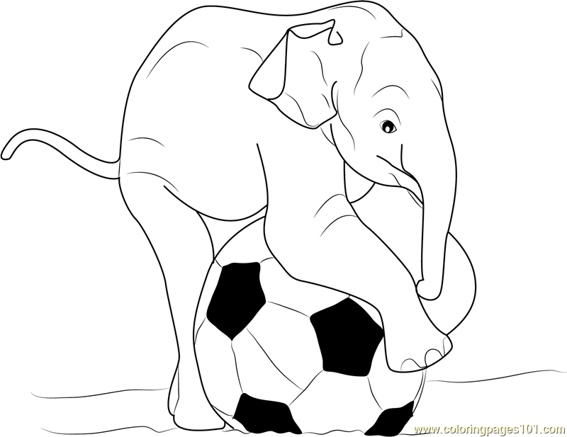 800x617 Baby Elephant Playing Ball Coloring Page