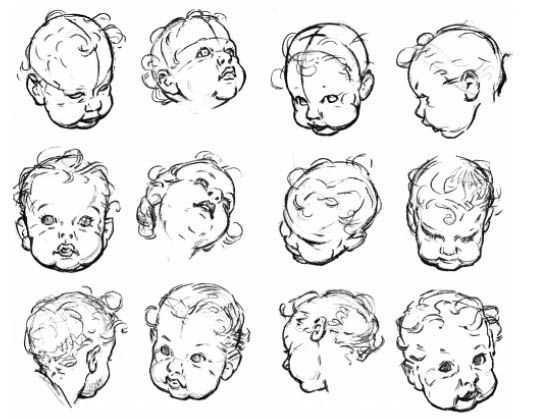 537x419 These Drawings Of Baby Heads By Andrew Loomis Show The Importance