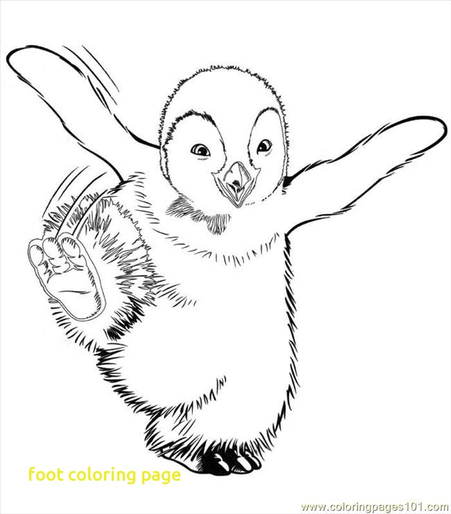 650x742 Foot Coloring Page With Foot Coloring Pages Kids Coloring Coloring