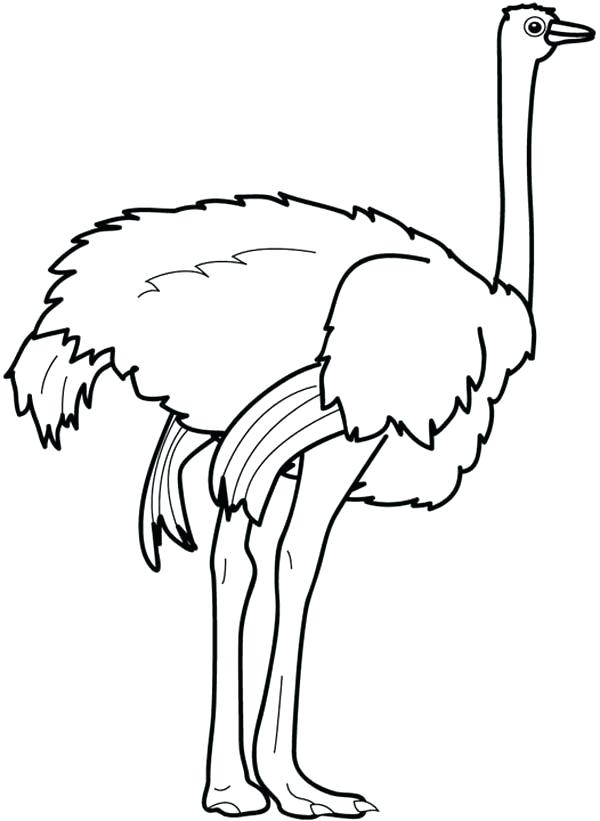 600x821 Feet Coloring Pages Coloring Collection