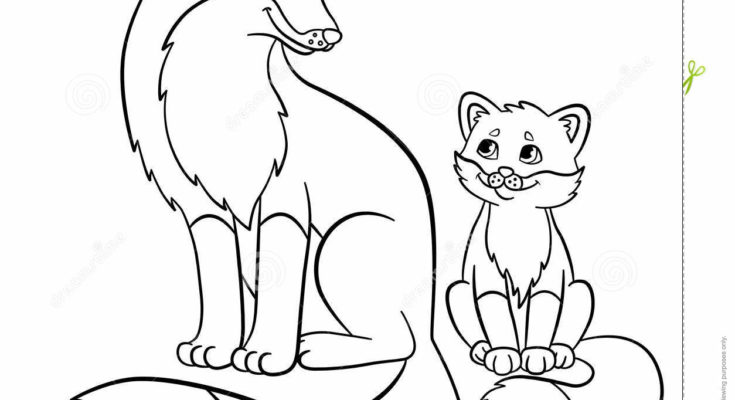 735x400 Animal Coloring Baby Animal Coloring Page Wildlife Baby Animal