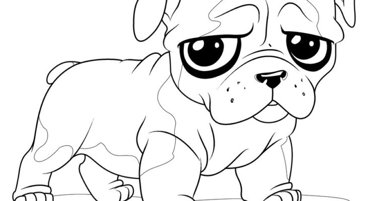 735x400 Animal Coloring Baby Animal Coloring Page Baby Husky Baby Animals