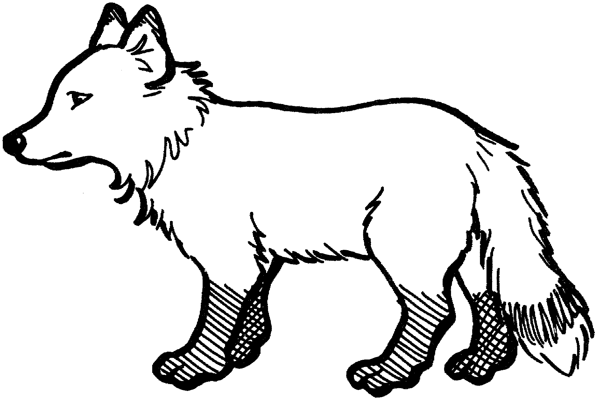1918x1284 Best Baby Fox Coloring Pages 61