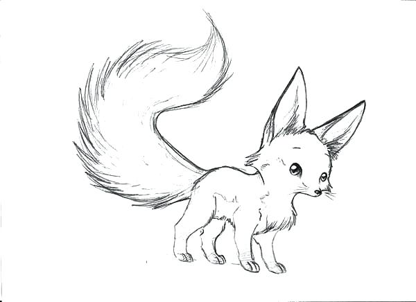 600x436 Baby Fox Coloring Pages 76 Together With Coloring Page Kids N Fun