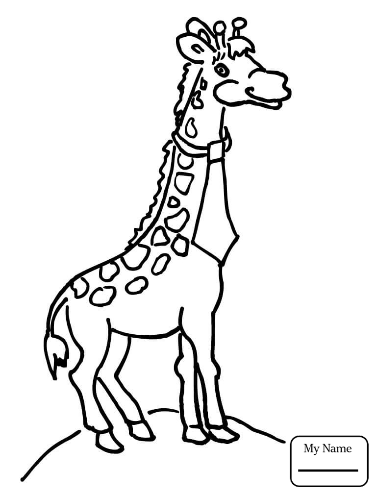 Baby Giraffe Sitting Coloring Page For Kids Free Giraffe Printable ...