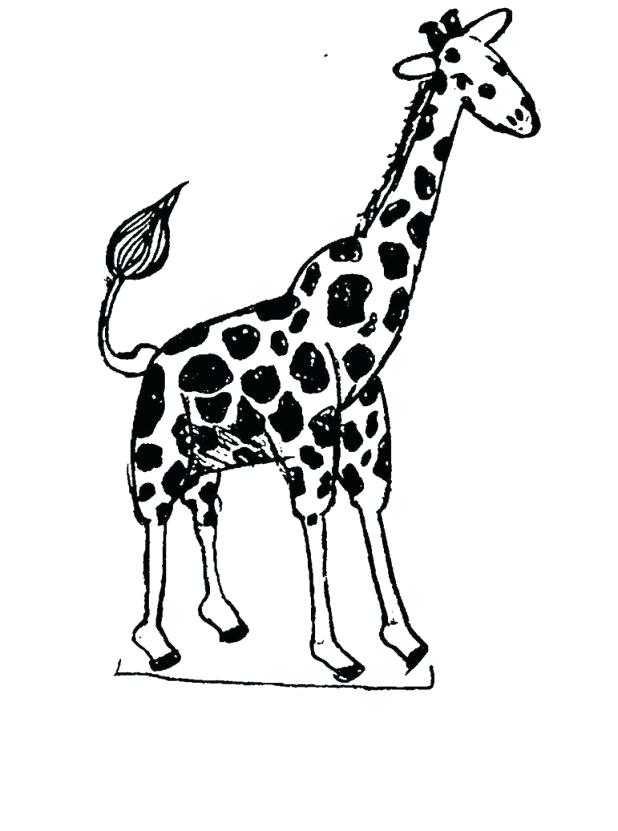 618x831 Baby Giraffe Coloring Pages