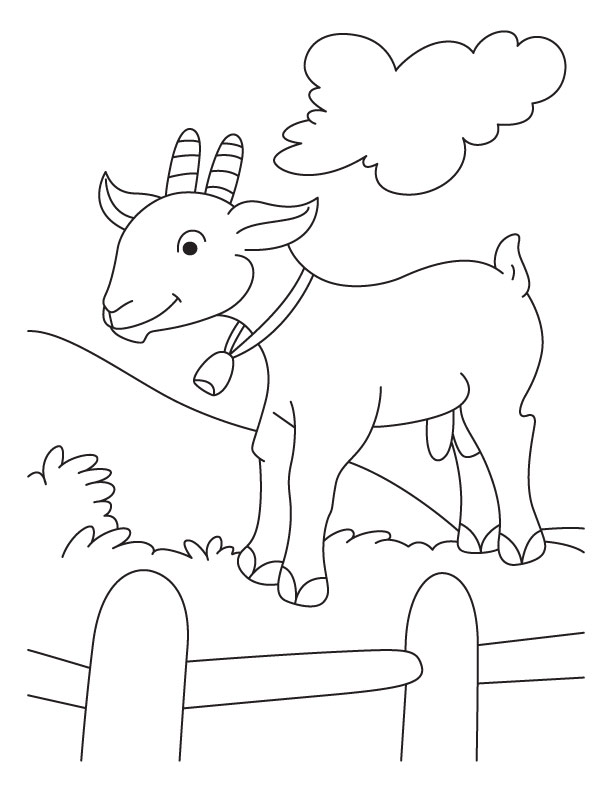 612x792 Baby Goat Coloring Pages
