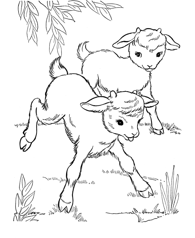 670x820 Farm Animal Coloring Page Goat Baby Goats Kids Farm Crafts