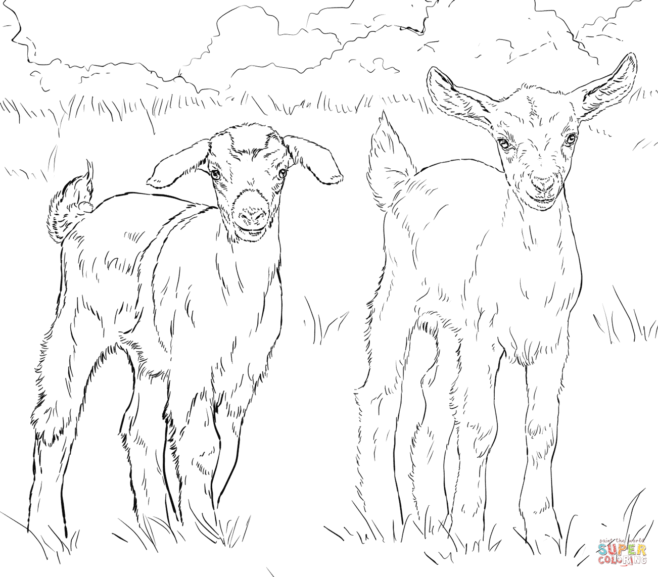 1302x1142 Baby Goat Coloring Pages Printable To Amusing Print Photo Goats