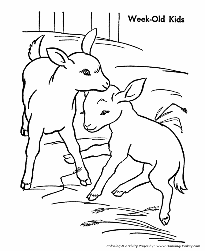 670x820 Baby Goat Coloring Pages To Good Draw 05 02