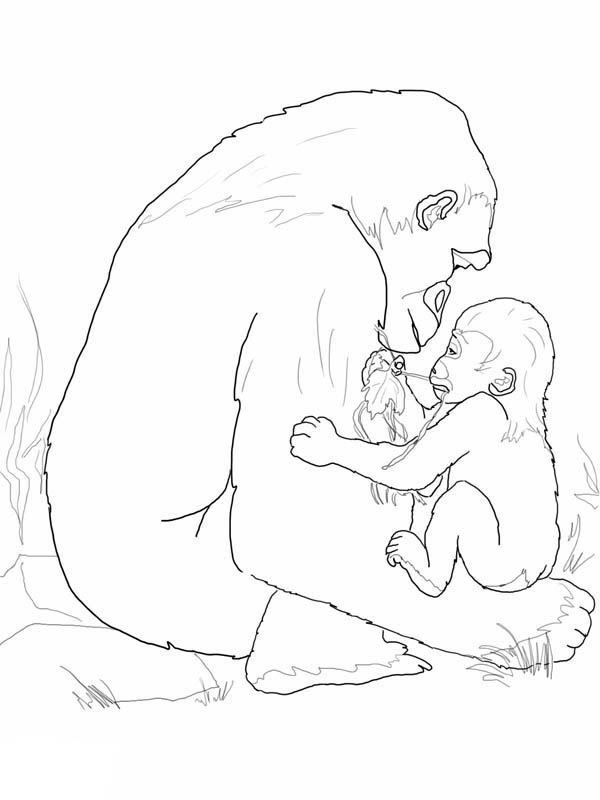 600x800 Gorilla, Mother Gorilla Playing With Her Baby Coloring Page