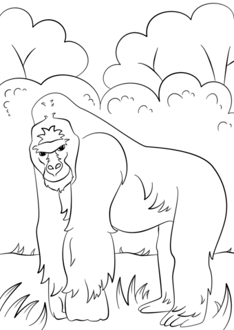 340x480 Gorilla Coloring Page Free Printable Coloring Pages