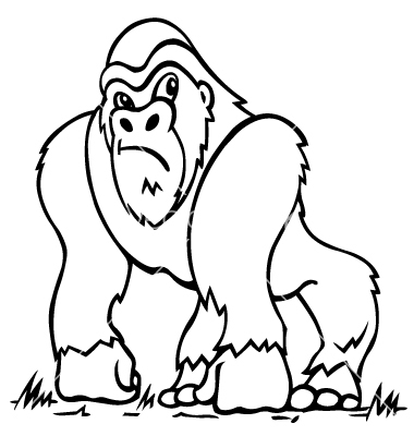 380x400 Gorilla Template Drawing 2015) Baby