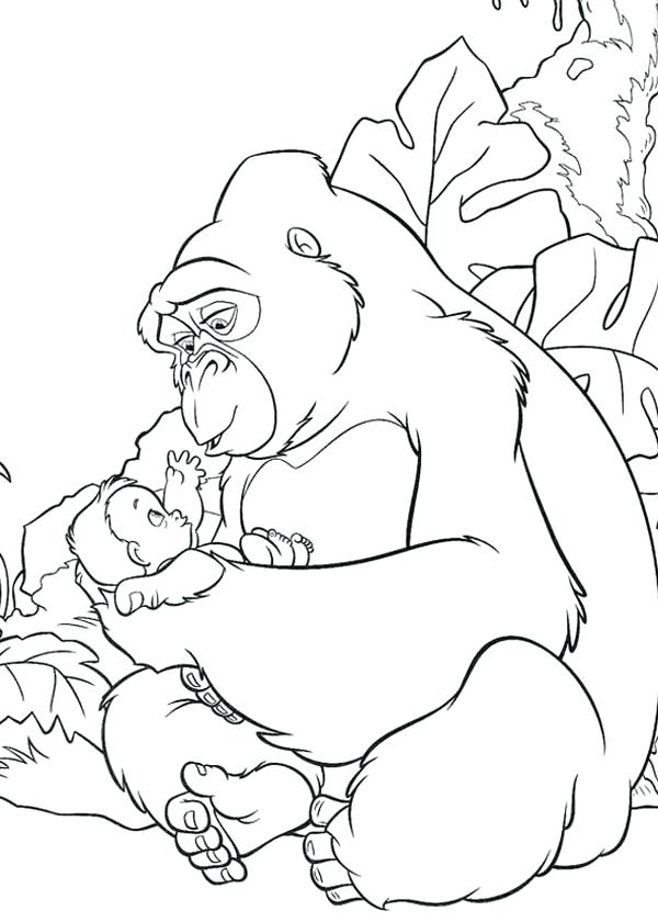 600x840 This Is Gorilla Coloring Page Images Baby Gorilla Coloring Pages
