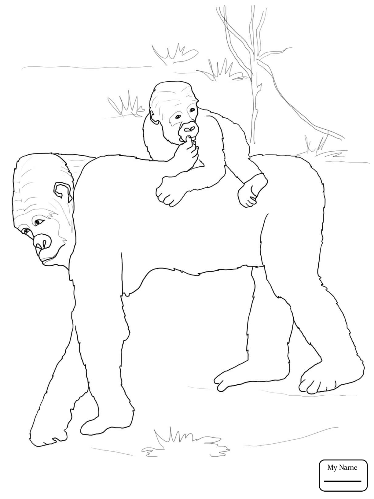 1224x1632 Coloring Pages Mammals Apes Baby Gorilla On Mother S Back