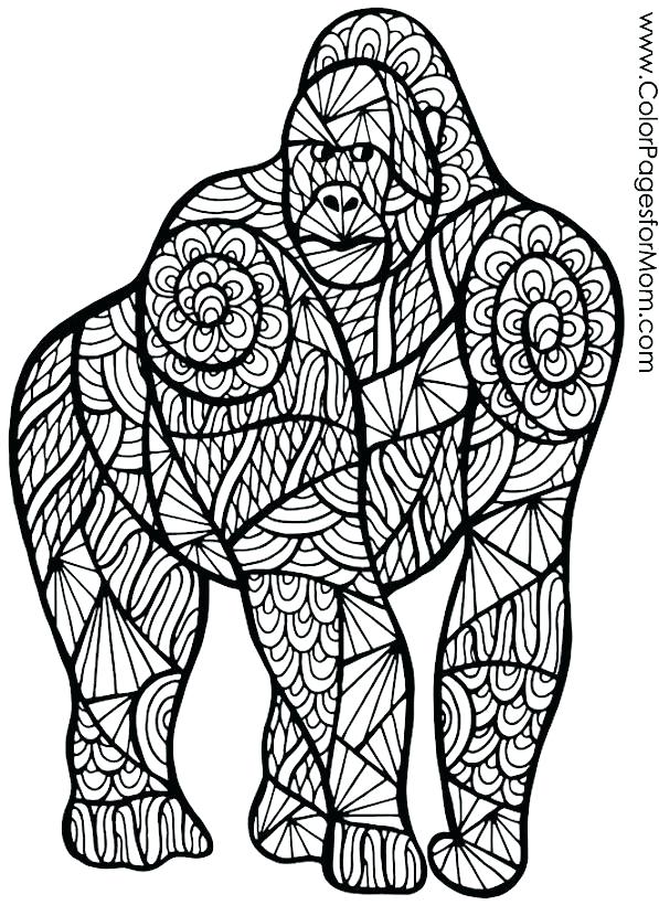 597x820 Gorilla Coloring Pages Megaproperty.club
