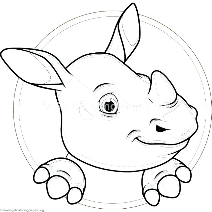 700x700 Baby Hippo Coloring Pages Inspirational Hippopotamus Coloring