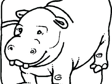 440x330 Top Rated Hippo Coloring Pages Pictures 4 Hippopotamus Animal