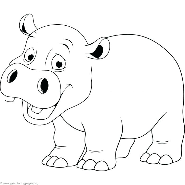 700x700 Baby Hippo Coloring Pages Baby Hippo Coloring Pages Cute Baby