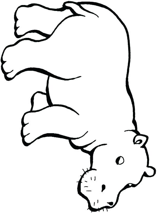 529x720 Baby Hippo Coloring Pages Baby Hippo Coloring Pages Pin Drawn