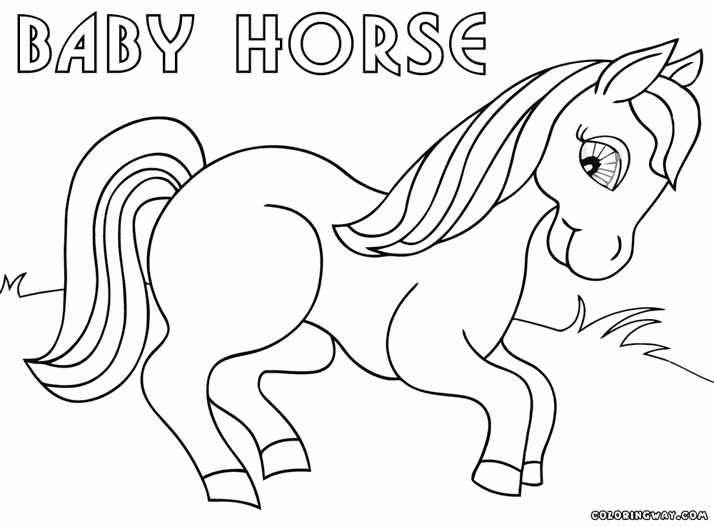 1000x738 Baby Horse Coloring Pages Coloring Pages To Download And Print