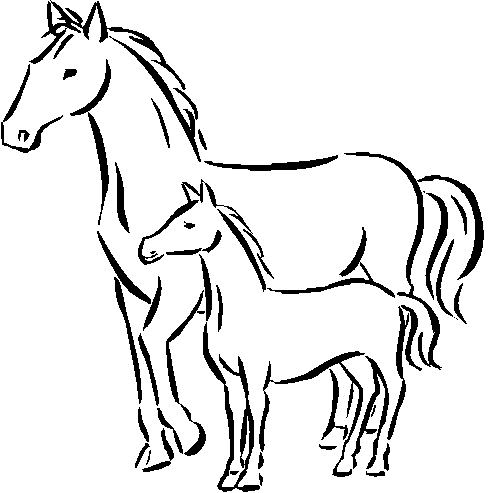 490x493 Horse Coloring Pages For Kids