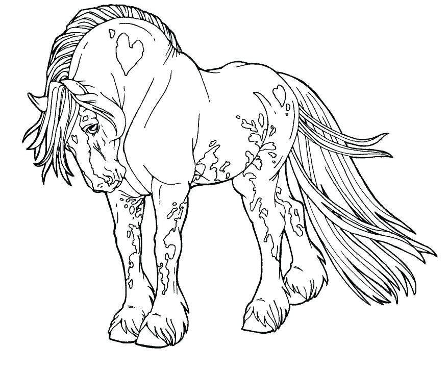878x729 Horse Coloring Pages Printable Also Amusi On Baby Horses Coloring