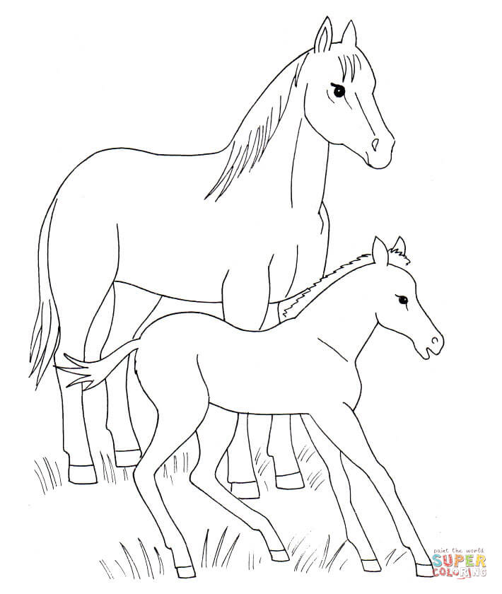 710x840 Horse And Foal Coloring Page Free Printable Coloring Pages