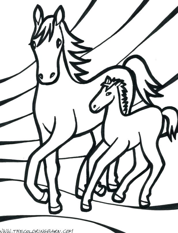 618x809 Horses Cl Cute Baby Horse Coloring Pages Sheets Seahorse Appealing