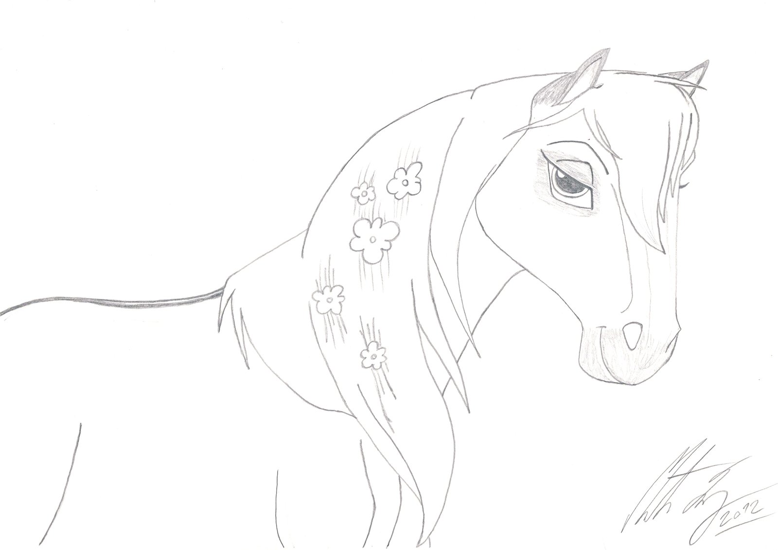 1600x1131 My Fantasy Horse Baby