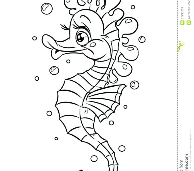 678x600 Sea Horse Coloring Pages Draw Sea Horse Coloring Pages Baby