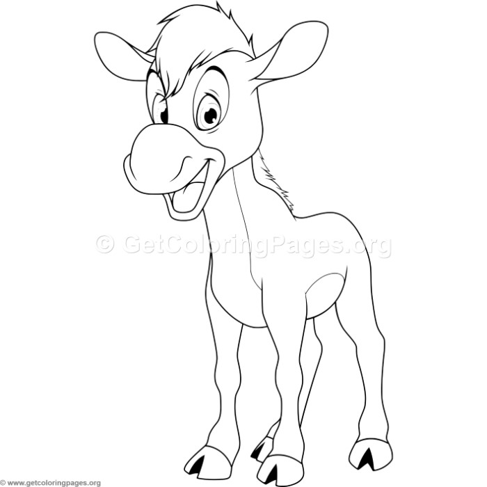 700x700 Baby Horse Coloring Pages