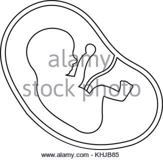 326x320 Black Silhouette Of Ultrasound Of Baby Stock Vector Art