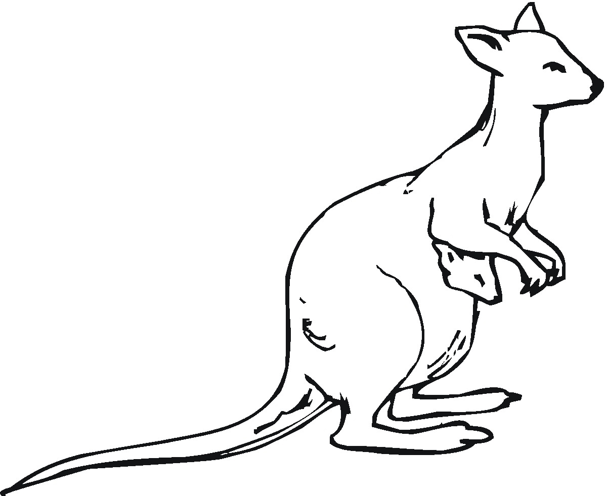 1200x981 Image Result For Kangaroo Line Drawing Kangaroo