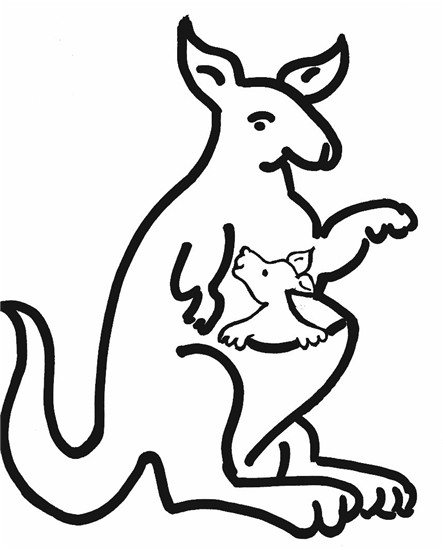 443x550 Why Kangaroo